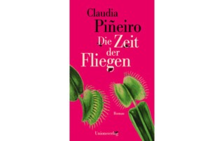 teaser-fliegen